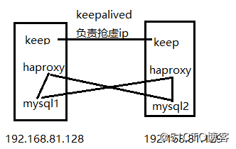 keepalived + haproxy + mysql 构建高可用数据库