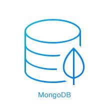Python + MongoDB 小型程序利器