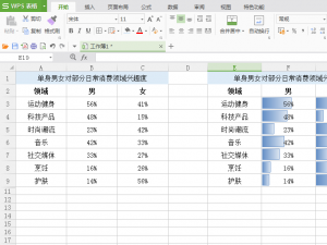 数据可视化：在WPS和Excel表格单元格中将百分数转化成数据条