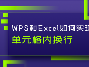 WPS和Excel如何实现单元格内换行