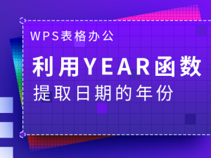 WPS表格办公—利用YEAR函数提取日期的年份