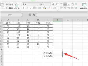 如何在Excel表格里快速统计男女数量 